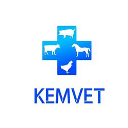 Kemvet, Timişoara program de funcționare