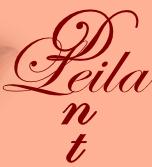 C.m.i. Dr. Pallai Leila, Satu Mare program de funcționare