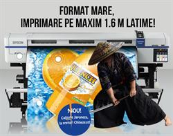 Lemings S.r.l, Constanţa program de funcționare