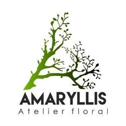Atelier Amaryllis, Iaşi program de funcționare