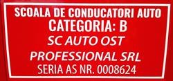 OST Auto Profesional, Urziceni program de funcționare