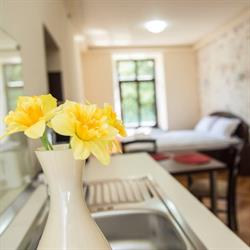 Casa Mots Sibiu, program de funcționare
