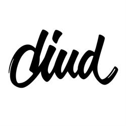 Diud, Bucureşti program de funcționare