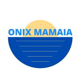 Onix NS Studios Resort, Mamaia-Sat program de funcționare