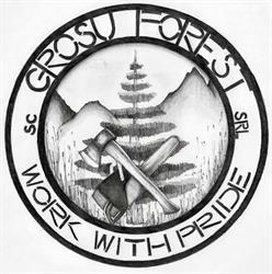 SC Grosu Forest SRL, Bucureşti program de funcționare