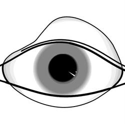 Laborator Protezare oculară Timişoara, program de funcționare