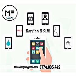MF GSM, Bucureşti program de funcționare