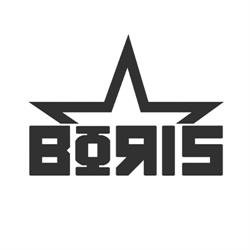 Boris Pub, Bacău program de funcționare