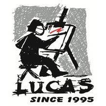 Lucas impex SRL, Tulcea program de funcționare