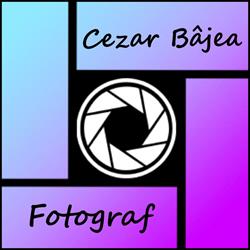 Cezar Bajea Fotograf, Craiova program de funcționare