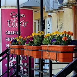 Salon Elixir, Urziceni program de funcționare