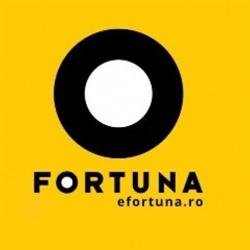 Play Cafe, Techirghiol program de funcționare
