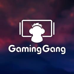 Gaming Gang, Timişoara program de funcționare