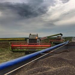 ECOAGRO S.R.L., Islaz program de funcționare