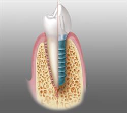 CMI Lapadat Hortensia Dent Implant Expert, Sighişoara program de funcționare