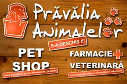 Pravalia Animalelor, Bucureşti program de funcționare