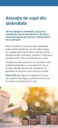 UnionTAX International Sfântu Gheorghe, program de funcționare