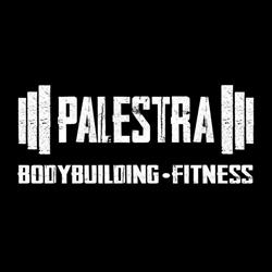 Palestra Bodybuilding & Fitness, Cluj-Napoca program de funcționare