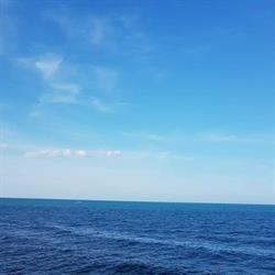 AnnA by the Sea, Eforie Sud program de funcționare