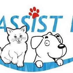 Vetassistlife, Timişoara program de funcționare