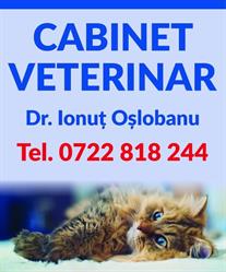 Veterinary Point Of Care, Iaşi program de funcționare