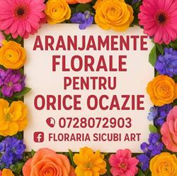 Floraria Sicubi art, Brăila program de funcționare