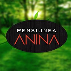 Pensiunea Anina, program de funcționare