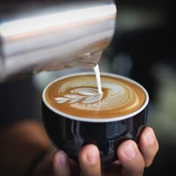Fin Caffe, Râmnicu Vâlcea program de funcționare