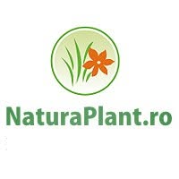 NaturaPlant, Bucureşti program de funcționare