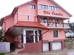 Vila Camelia - Vatra Dornei, program de funcționare
