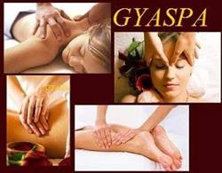 Gya Spa, Arad program de funcționare
