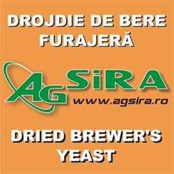 Agsira, Işalniţa program de funcționare