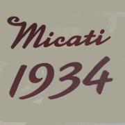 Micati 1934, Bacău program de funcționare