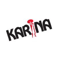 Salon Karina, Turda program de funcționare