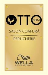 Salon Otto, Deva program de funcționare