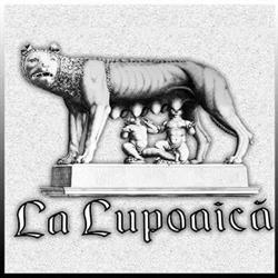 La Lupoaică Pizza,Paste & Grill, Constanţa program de funcționare