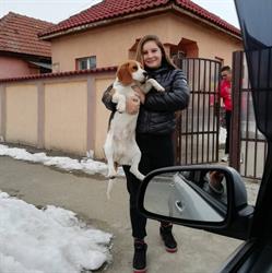 Pensiunea Casa Bianca-Târgu Jiu, program de funcționare