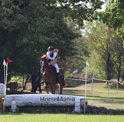 HorseMania, Pietrari program de funcționare