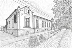 Restaurant Salon Criş, Chişineu-Criş program de funcționare