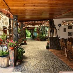 Casa Vlad, Orlea program de funcționare
