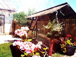 Casa Ghemus Costinesti, program de funcționare