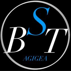 Biserica Sfanta Treime Agigea, program de funcționare