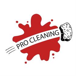 Pro Cleaning Cluj, Sânnicoară program de funcționare