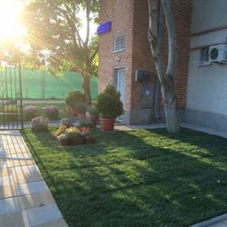 Vila Coco Costinesti, program de funcționare