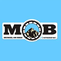 Inchirieri Biciclete, Voineşti program de funcționare