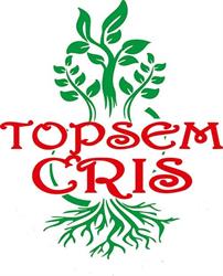 Topsem Cris SRL, Topolog program de funcționare