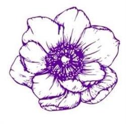 Floraria Anemone, Bucureşti program de funcționare