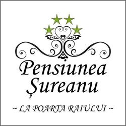 Pensiunea Şureanu, Şugag program de funcționare