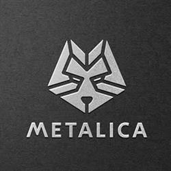 Metalica SA, Oradea program de funcționare