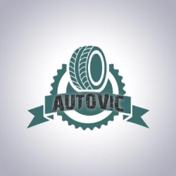 AUTOVIC SRL, Brăila program de funcționare